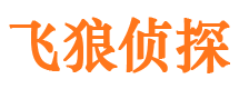 龙沙市婚姻出轨调查